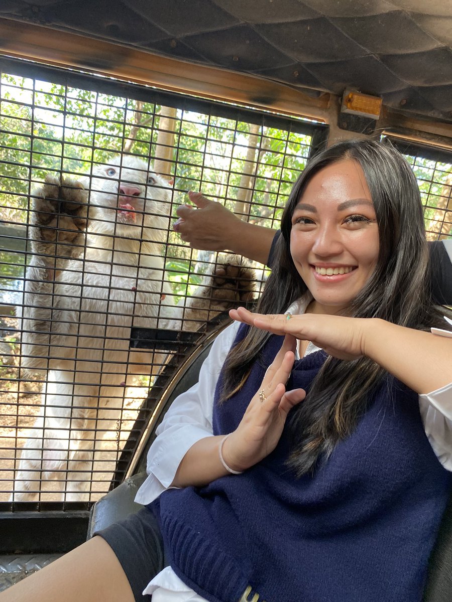 YogiDFrenchBully tweet media