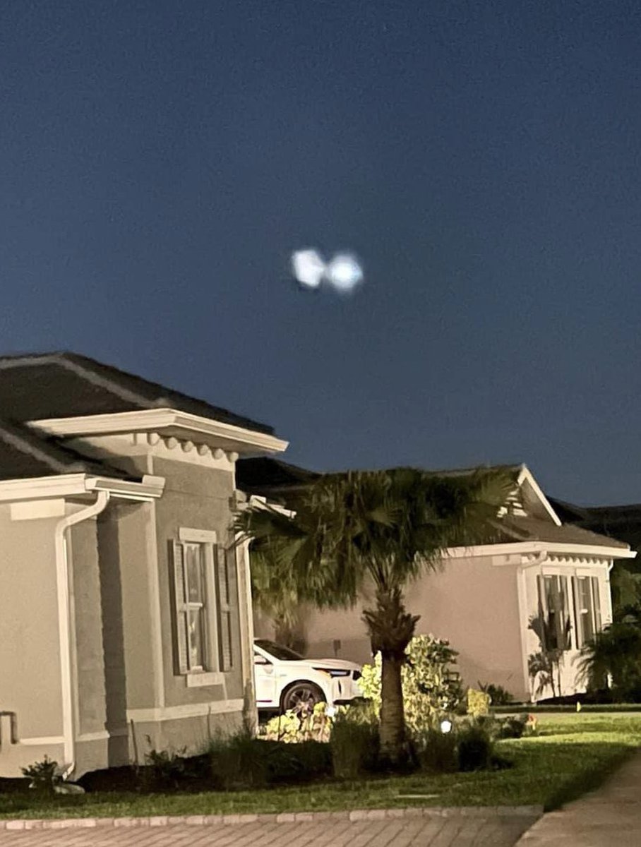 Matt Devitt tweet media