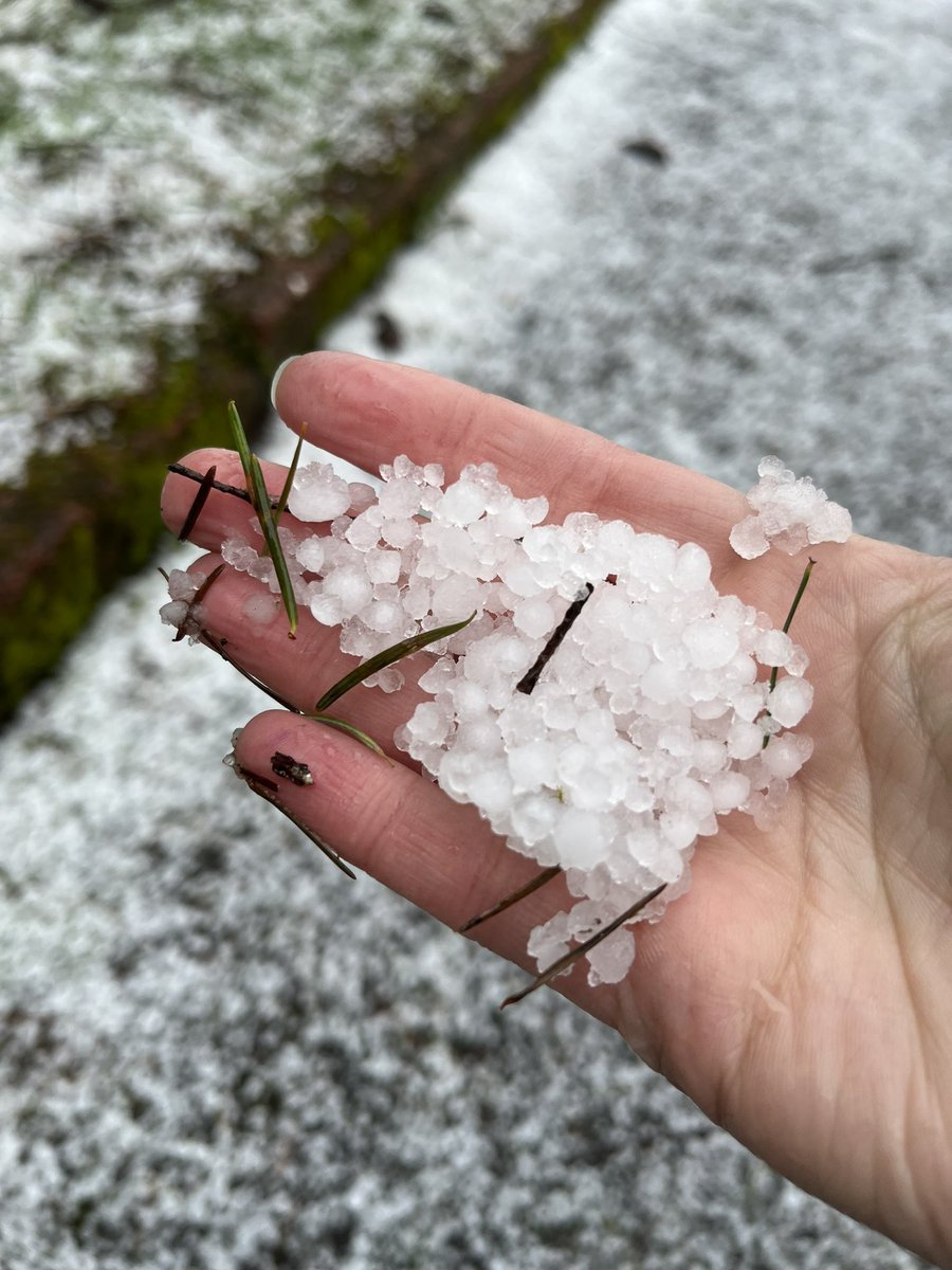 Abner For Action tweet media