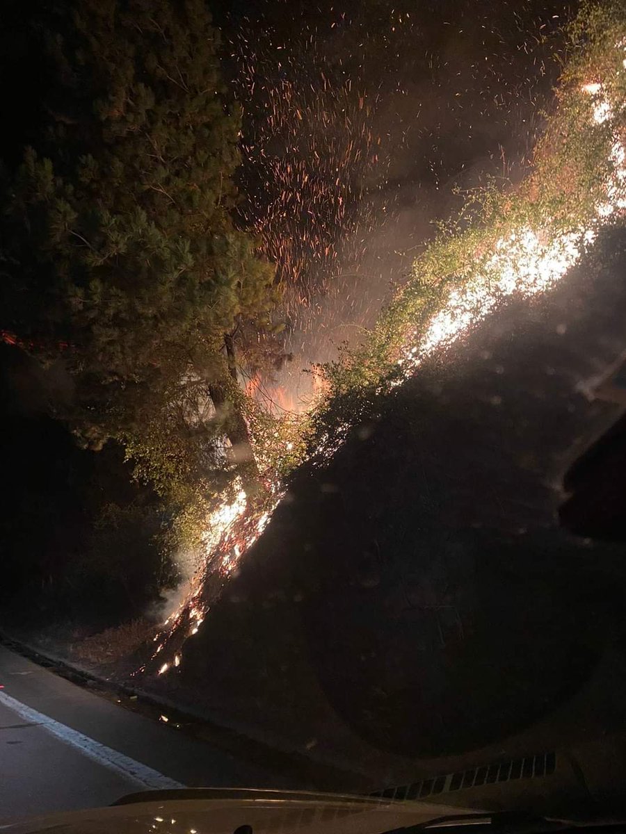 CEBioBio's tweet photo. Coronel: Incendio Forestal, ubicado en Kl.18.5 Mitrinhue unidades de emergencia al lugar.
#Cat8 https://t.co/bDEyJUuUNM