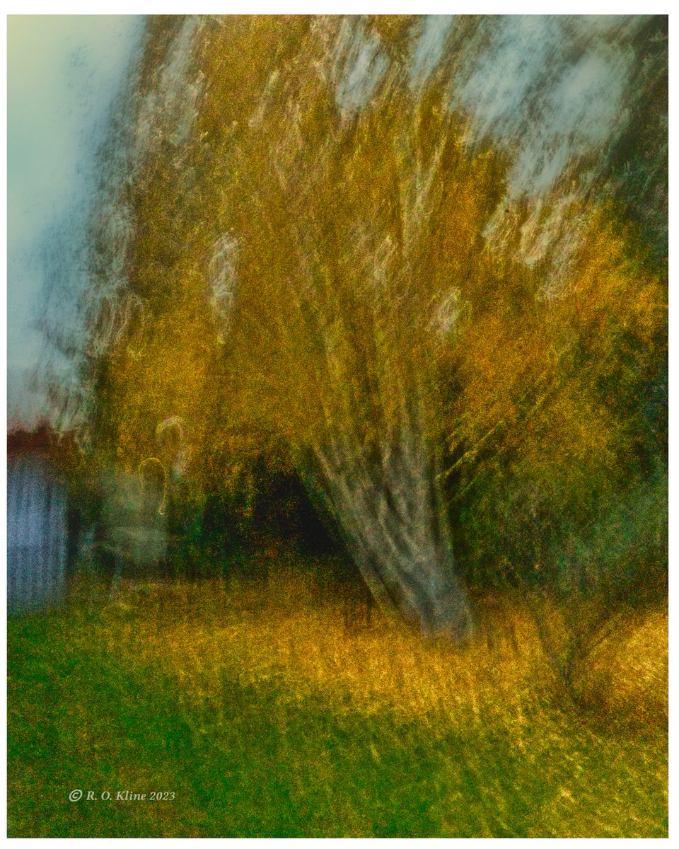 Posted a version of autumn birches in December 2022, but decided to repost a brighter softer version.   #birch #icm #icmphotography #intentionablur #icmabstract #motionblur #visualart #bluronpurpose