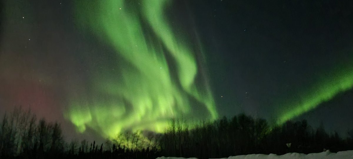 sonyall17's tweet photo. Anderson, AK https://t.co/4Oi9zCFYe1