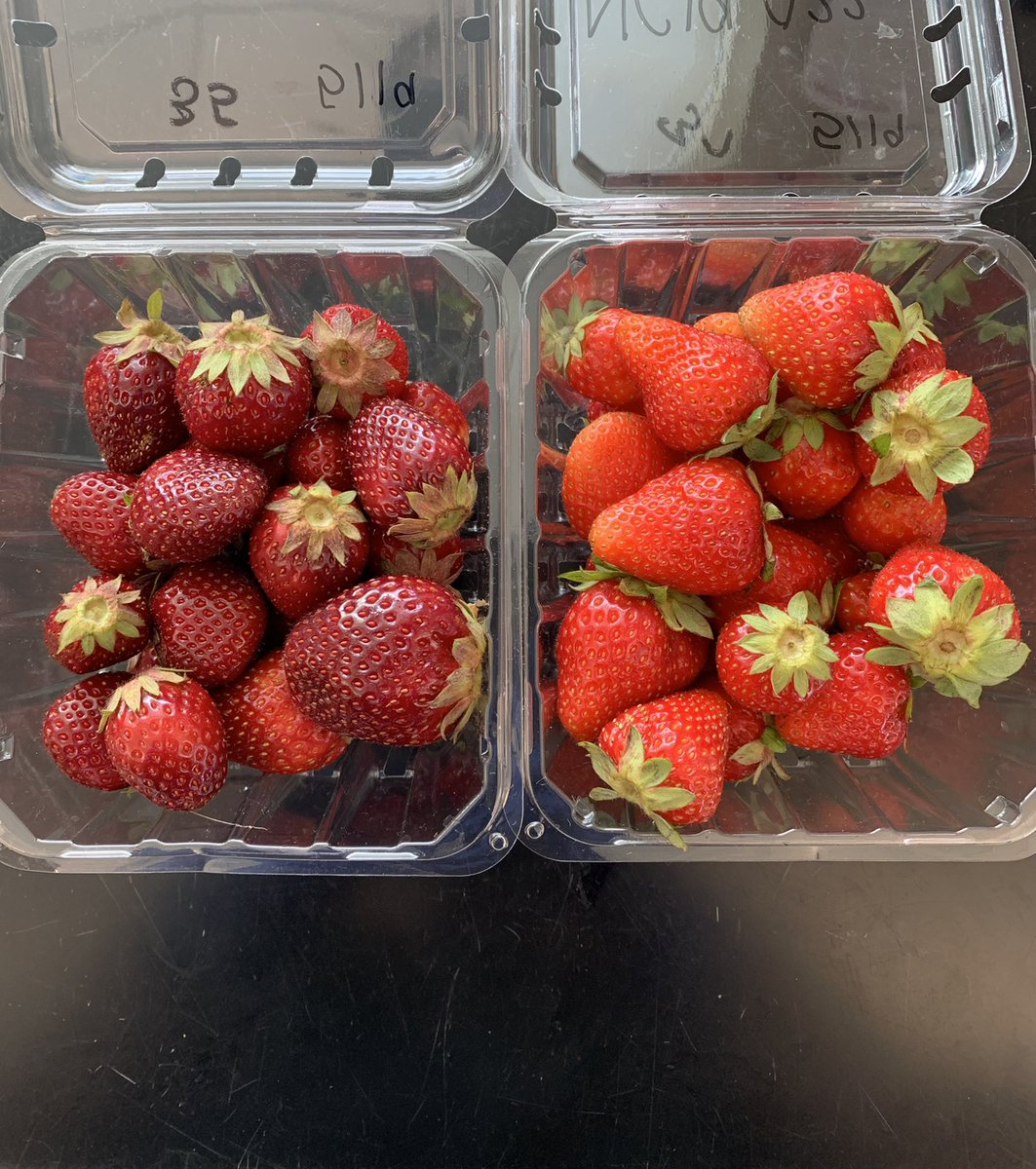 brianna ♡ tweet media