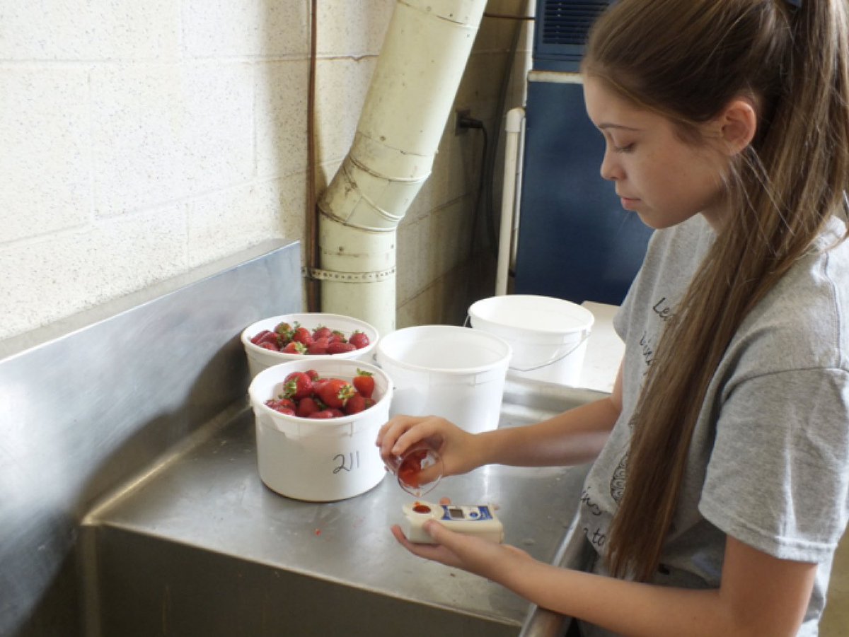 brianna ♡ tweet media