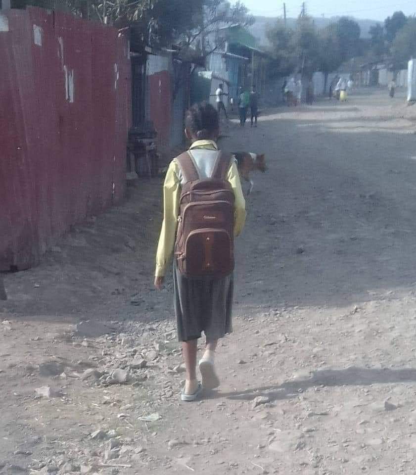 "አባዬ የኛ ቤት መቼ ነው የሚፈርሰው?!" አለችኝ አለ ዛሬ በስራ ምክንያት ያገኘሁት አንድ የቆዬ ወዳጄ።

የሚኖረው ጣፎ ከተማ ሲሆን ቤታቸው ከዛሬ ነገ አፈረሱት እያሉ ዶዘር በመንገድ ባለፈ ቁጥር ልጆቹ ቤታችን መቼ ነው የሚፈርስብን እያሉ ማታ ማታ