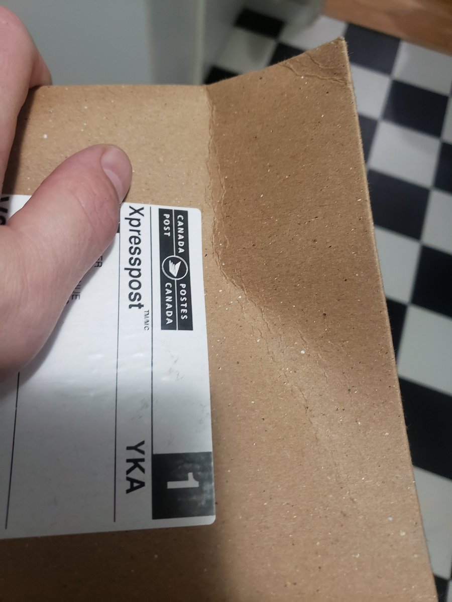 Okke Koedooder tweet media