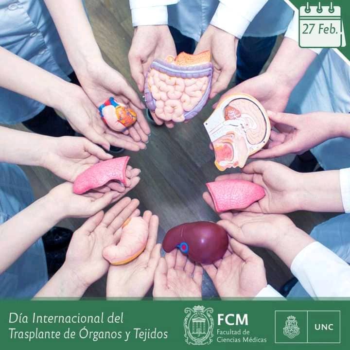 #CubaPorLaSalud #CiegodeAvila #MejorEsPosible #MejorSinBloqueo <a href="/dpsCiego/">Dirección Prov. de Salud - Ciego de Ávila</a> <a href="/MINSAPCuba/">Ministerio de Salud Pública de Cuba</a> <a href="/IzquierdoAlons1/">Livan Izquierdo Alonso</a> <a href="/TomsAlexisMart1/">Tomás Alexis Martin</a> <a href="/yuslayvis/">AlejandraYBG</a> <a href="/JuanRasua/">Juan Rafael Rasua Hernandez</a> <a href="/AniaRosa10/">Ania Rosa Francisco Malde</a>