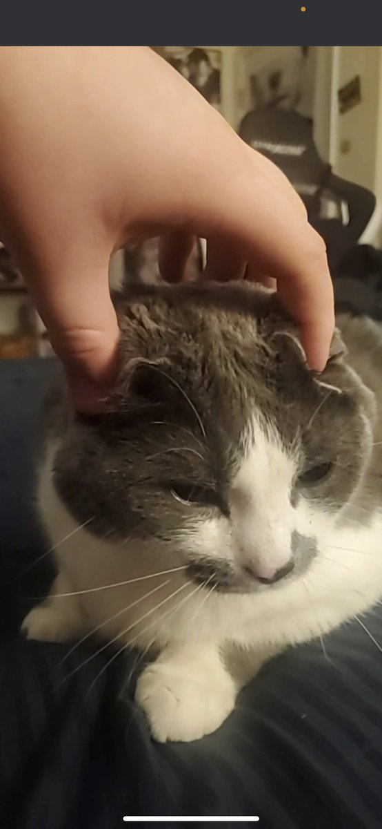 bigboycosmo's tweet photo. Is it still 2021 guys...? I havent been on here for so long...  I've grown mold all over my body, and fluids r seepibg from my pores... I'm sorry. I'm rotten, and spoiled.... I should be ashamed........... I am a disgrease to all my fans, i wont abandon u like that agin <|3 https://t.co/aP51CEq24W