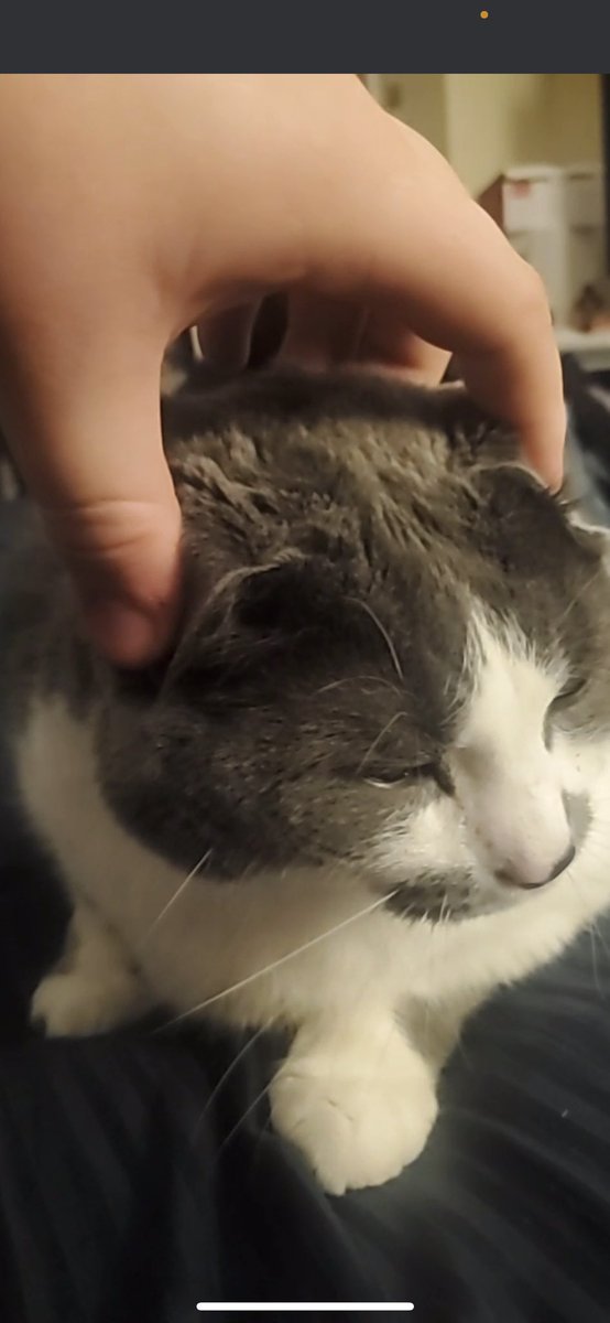 bigboycosmo's tweet photo. Is it still 2021 guys...? I havent been on here for so long...  I've grown mold all over my body, and fluids r seepibg from my pores... I'm sorry. I'm rotten, and spoiled.... I should be ashamed........... I am a disgrease to all my fans, i wont abandon u like that agin <|3 https://t.co/aP51CEq24W