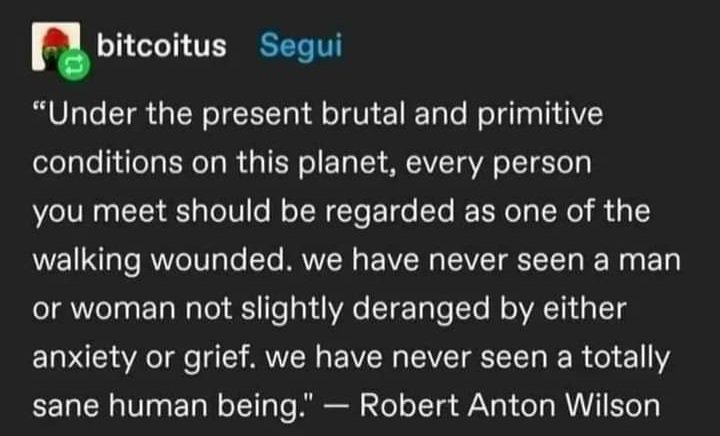 "every person you meet should be regarded as one of the walking wounded."
#quoteoftheday