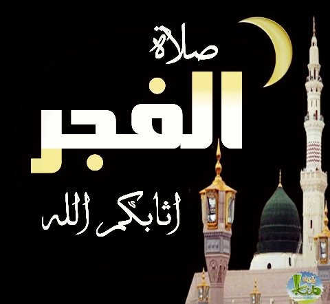 Reda Elgohary🇪🇬 (2) (@redaelg15536765) on Twitter photo 