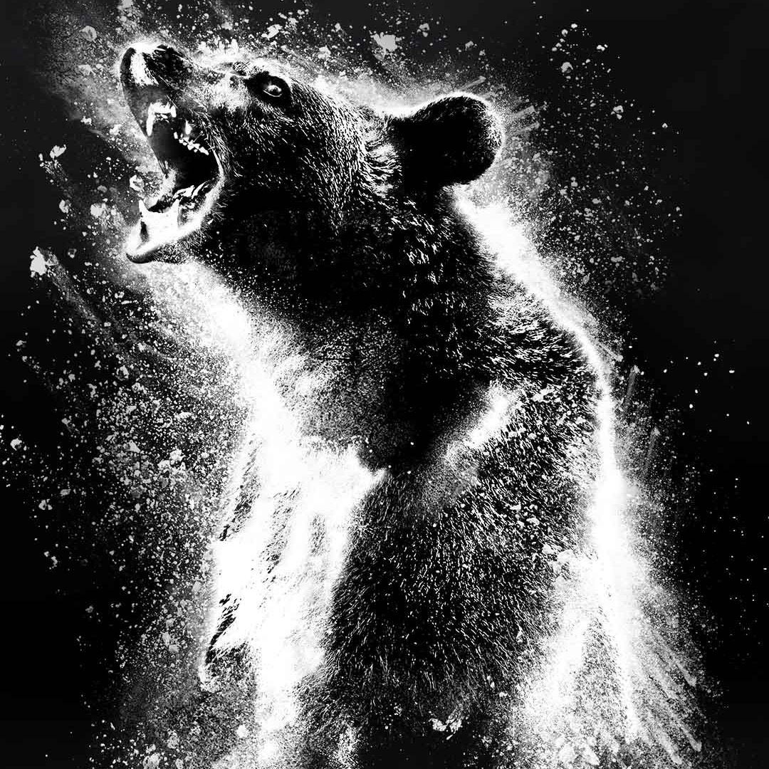 NoCloutBen's tweet image. me after taking my melatonin gummy