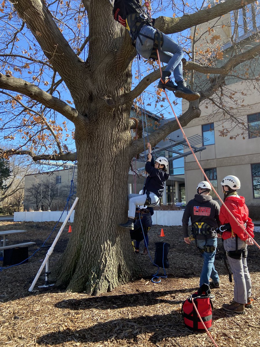 treehusker's tweet photo. Climbing day with #arboriculture students! It was a great day to get in the tree and the students were up for the challenge. #unl #snr_unl #treehusker #climbingarborists #treeteam #checkoutheseskills @UNLSNR @UNL_CASNR @unlstudentlife @UNLincoln https://t.co/OCD8xXdeCH