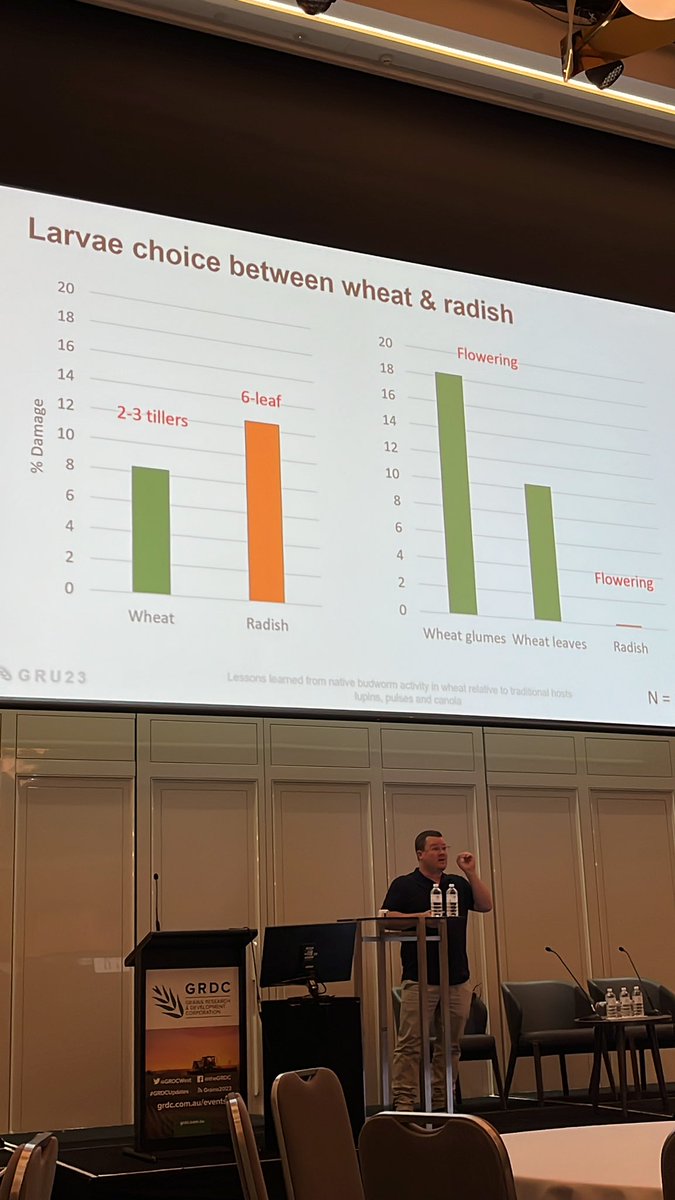 Richard Konzag tweet media