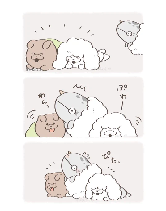 🐕🐩 