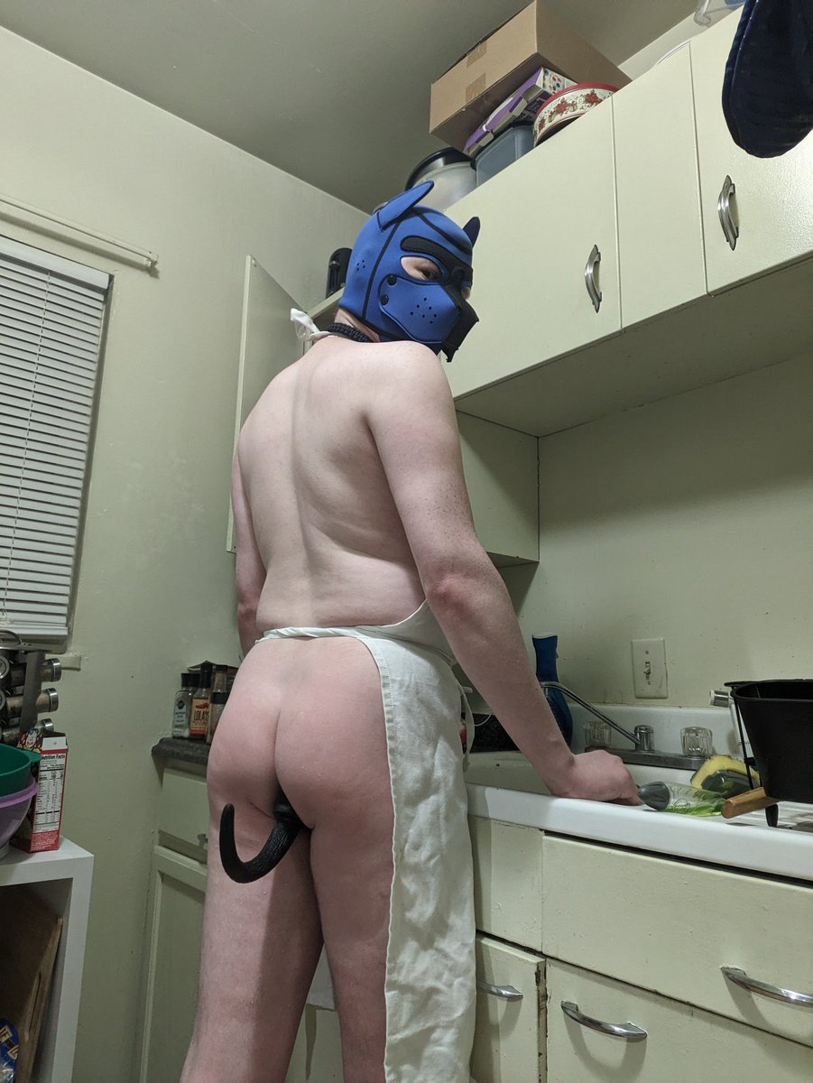 Harley98551146's tweet photo. Good pups do their chores. https://t.co/TKE1aT6uOz