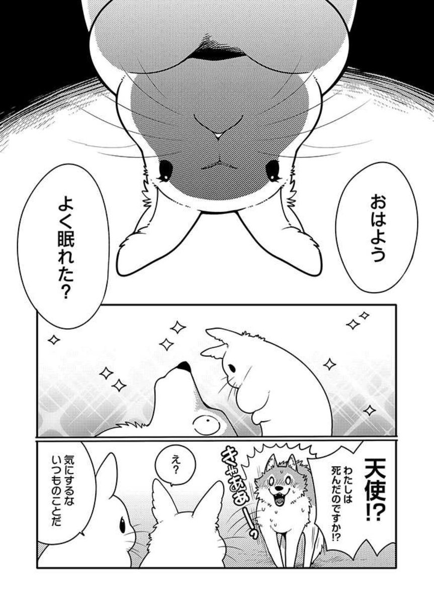うさぎは正義161話更新されました 
https://t.co/tcixJtAbCE 