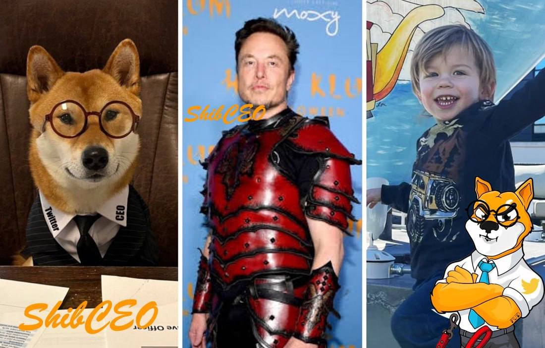 Shib CEO #Shibceo🐶🔥💎🚀⚡️ tweet media