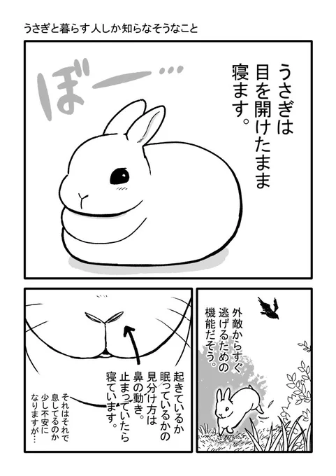 #今月描いた絵を晒そう 

オリジナルも1枚載せました。うさぎさんの話はまた描きます🐇 