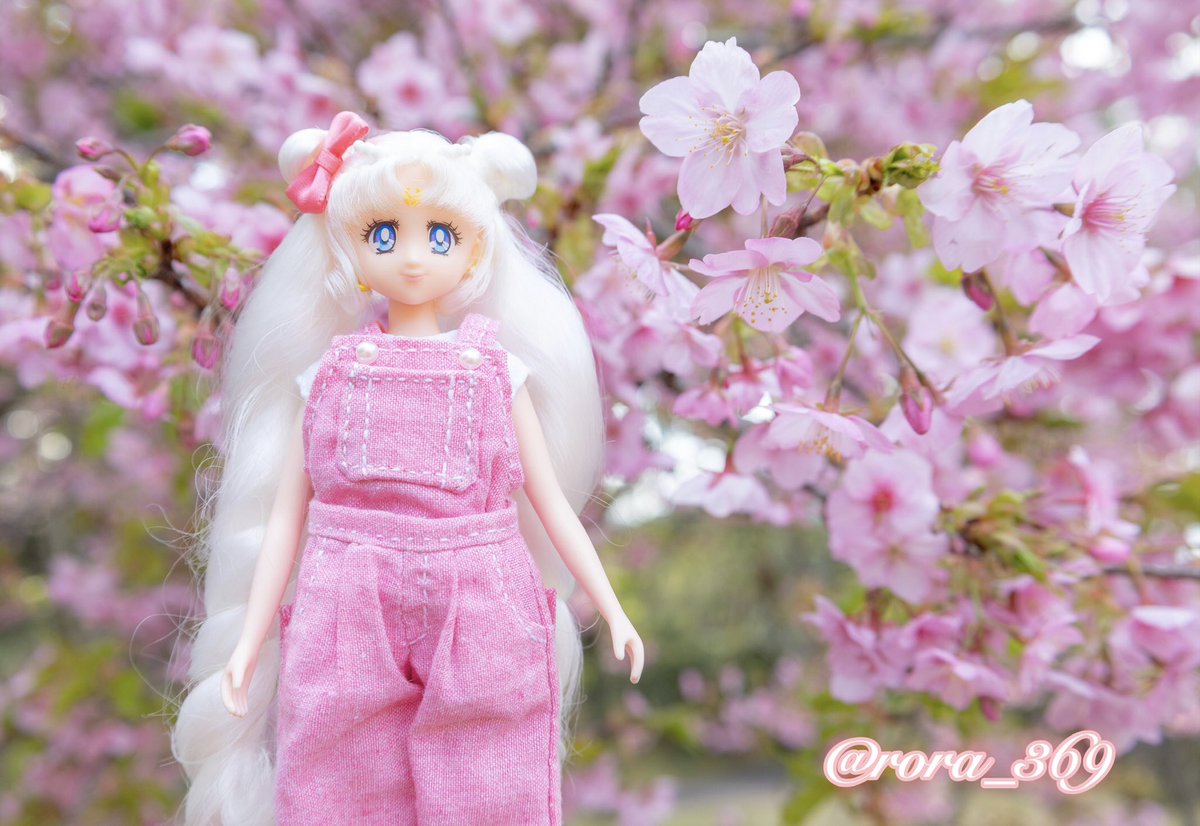rora_369's tweet photo. レイちゃんのオーバーオールって後ろはどうなってるか分からなくて適当なのですが、後ろ可愛くなった✨
上と下は別々なので下だけ他の服と合わせたりも出来ます!
百均の生地😄
#桜 #セーラームーン #styledoll https://t.co/89xkhU8hw4