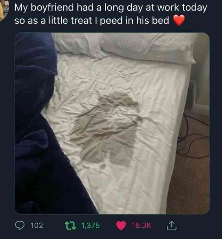 ShitpostGate's tweet photo. https://t.co/UsXft11ChX