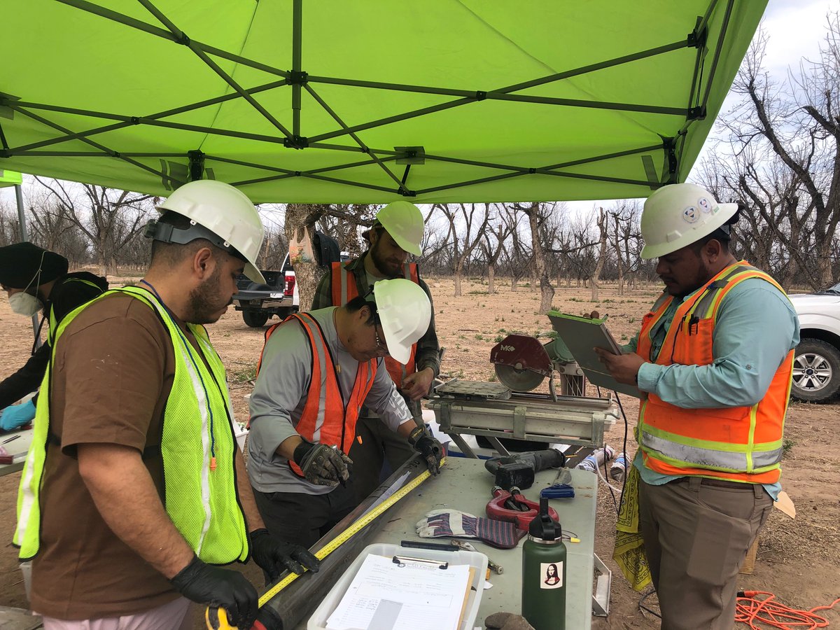 Lixin Jin tweet media