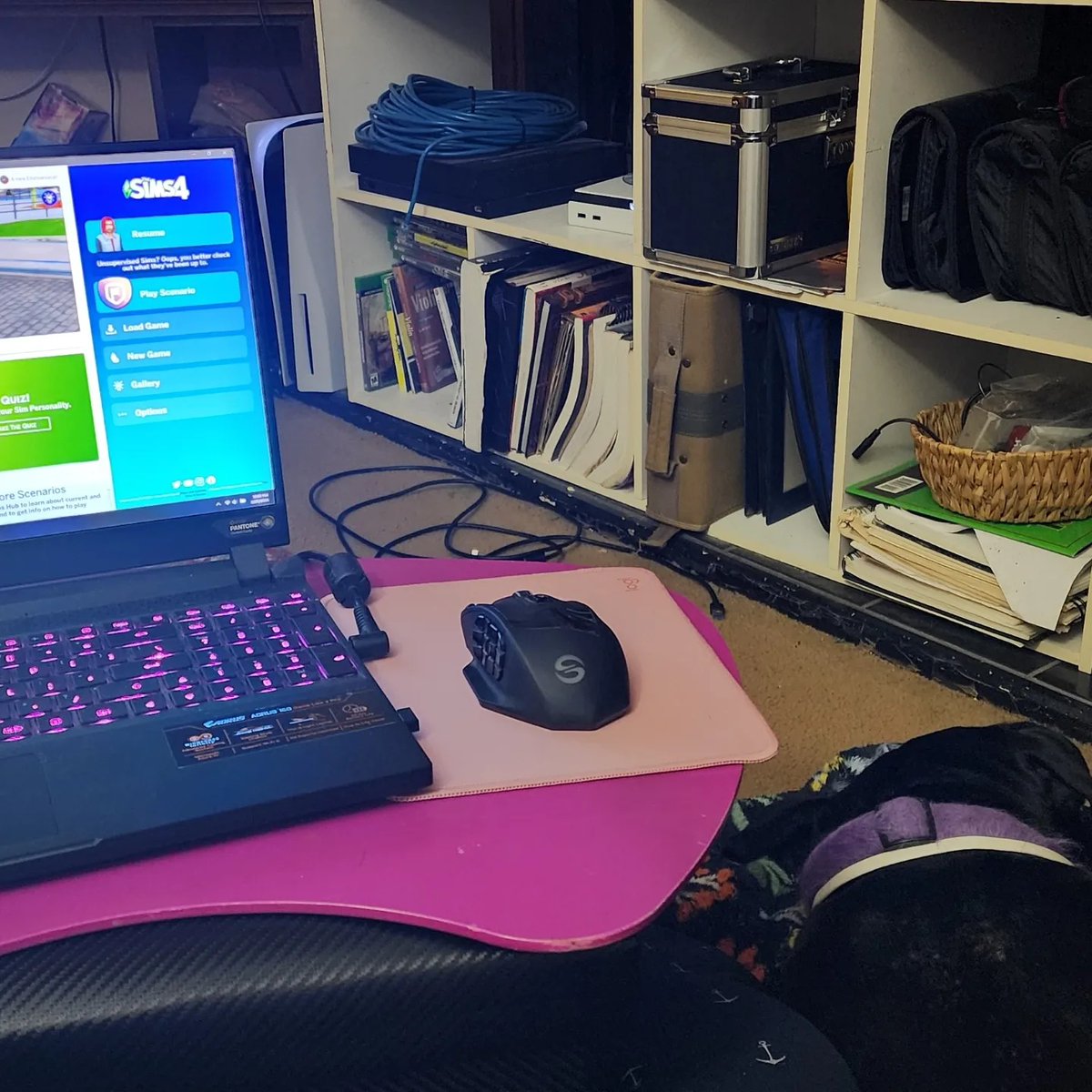 VyolettePlumbob's tweet photo. Fantastic end to this Monday - #spouse, #recuedog, #sims4, #streaminggames, and (finally!) a quiet house (#momlife is noisy!) What are you up to tonight? What are you looking forward to tomorrow? Share your win today! ๐ https://t.co/n61de3qxr2