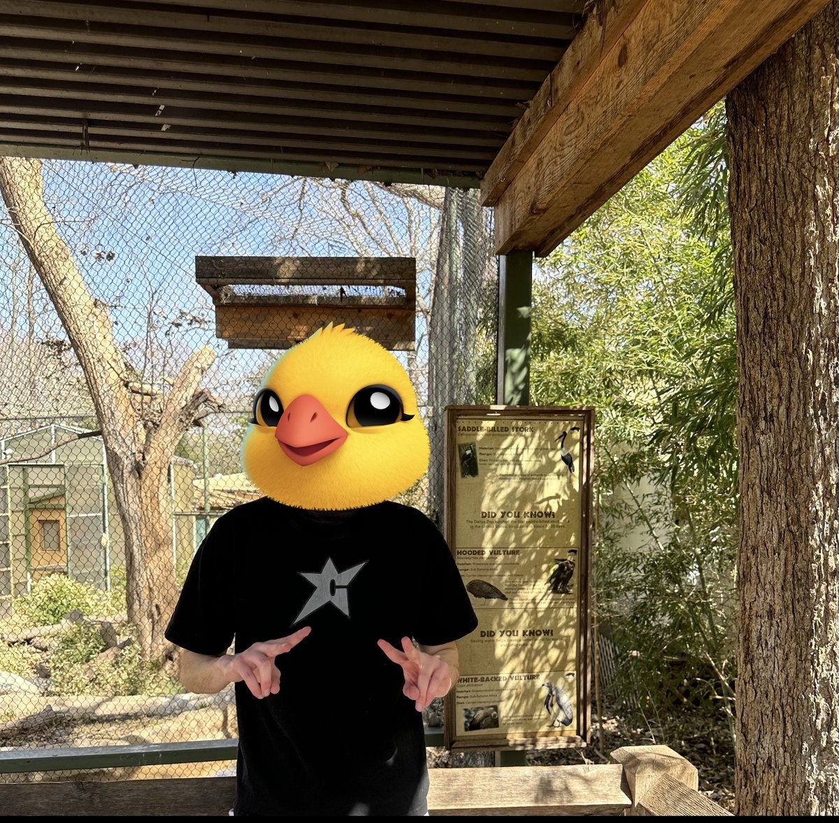 BulakIsilay's tweet photo. Had a great time at the zoo today!

#TMAs 
#TheMafiaAnimals 
#Zootomint https://t.co/ioXEf5nH6l