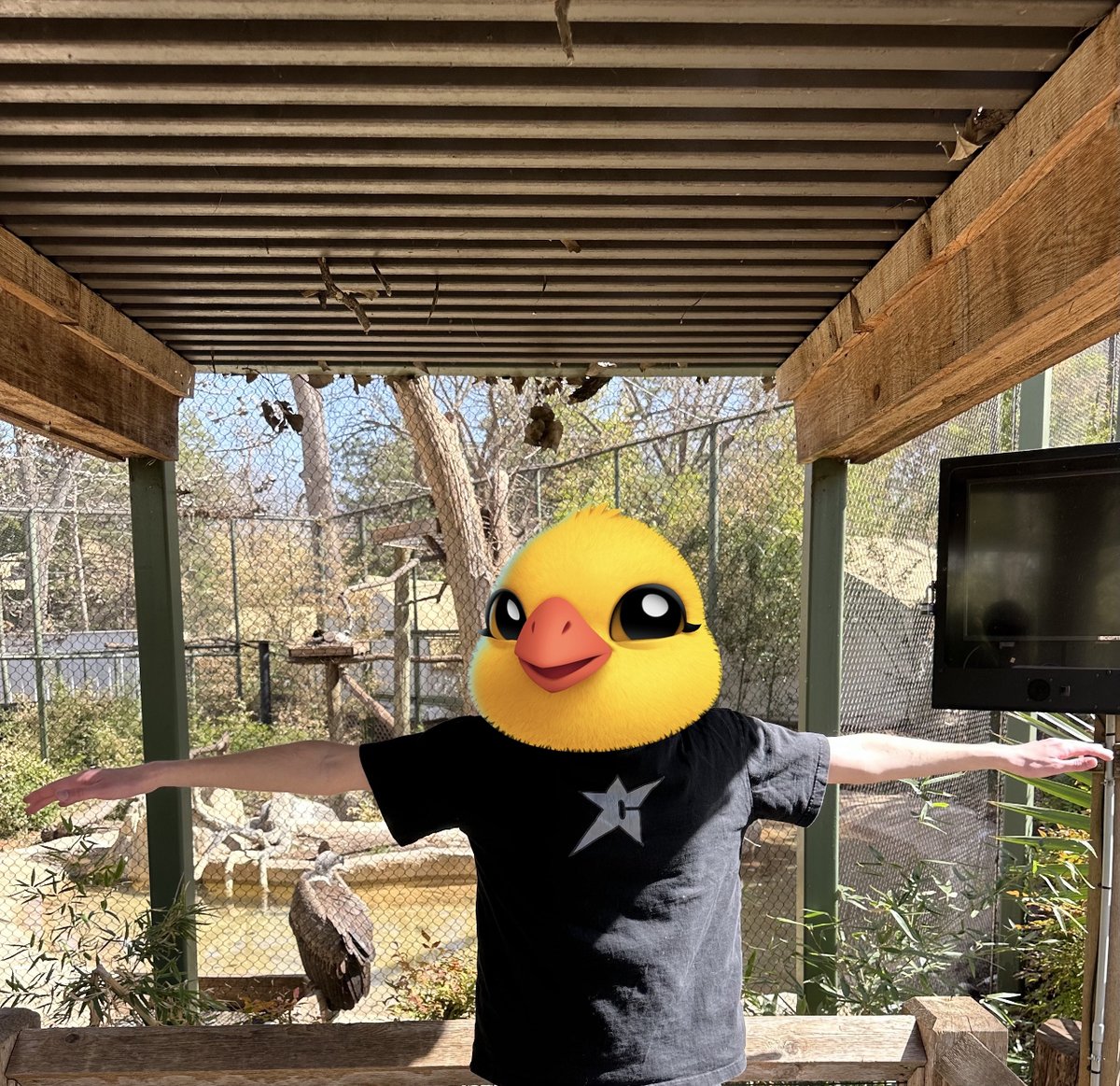 BulakIsilay's tweet photo. Had a great time at the zoo today!

#TMAs 
#TheMafiaAnimals 
#Zootomint https://t.co/ioXEf5nH6l