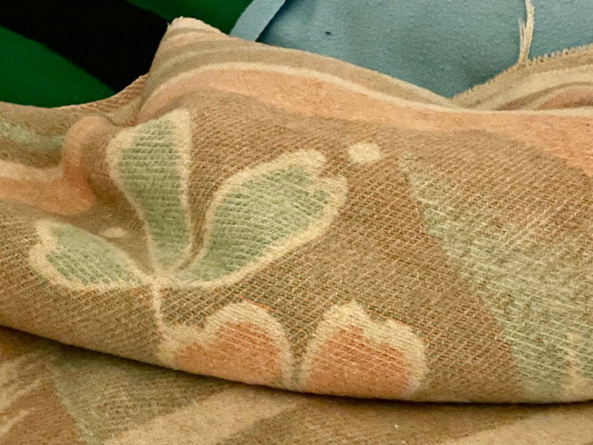 OliveMeetsWorld's tweet photo. He’ll make fun of me for this, but he’s just jealous because I climbed into bed first and claimed the warm, comfy side with all the blankets on it while he was still fussing with his face in the bathroom. I am unmoved. And immovable. Goodnight humans. https://t.co/U8B1XfZE48