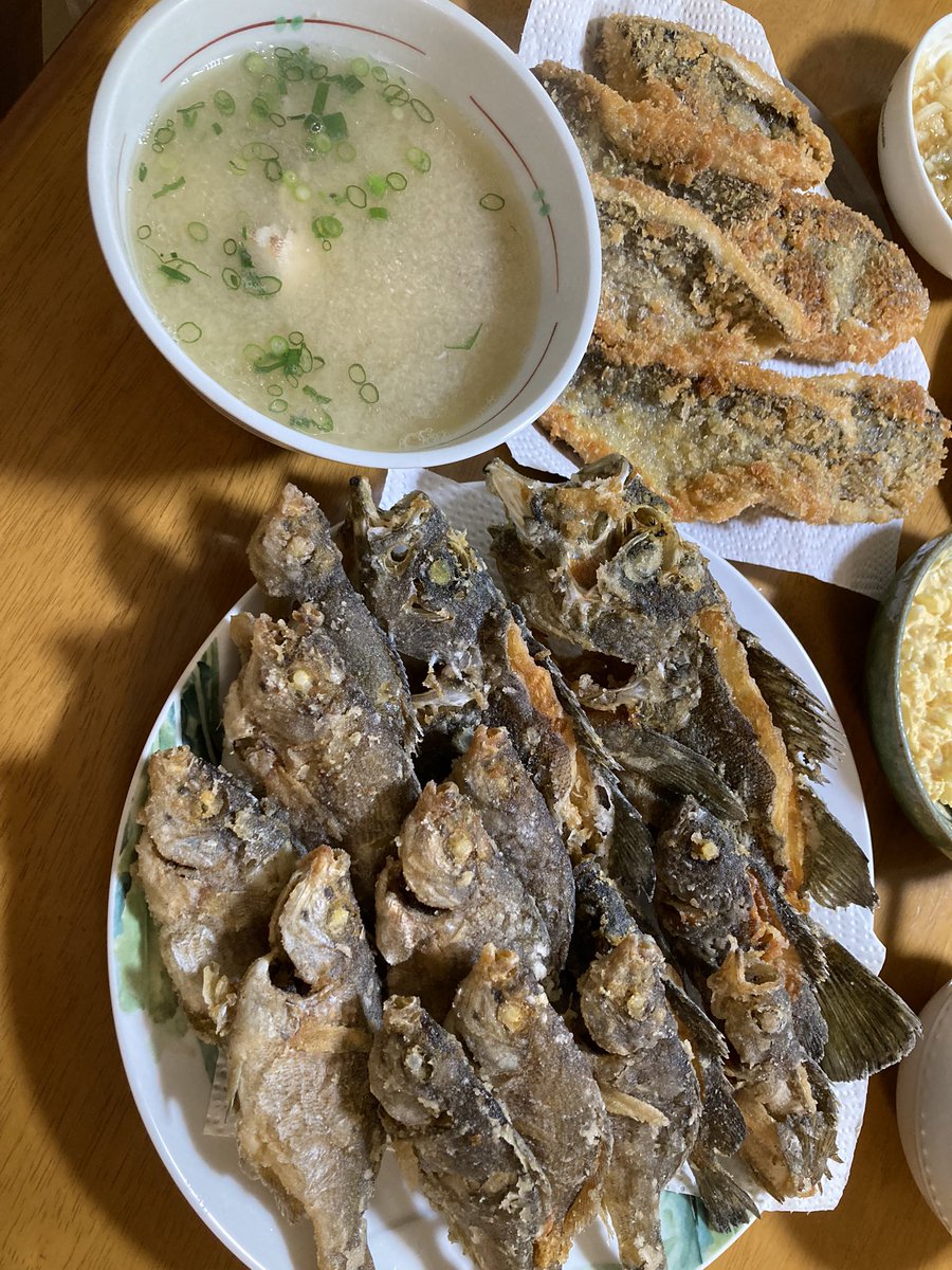 釣果 横浜大黒ふ頭
ウミタナゴ39 メバル8
尺タナゴ、デカメバルが釣れどちらも自己記録達成でした!次回は数も釣れたらと思います!もっと頑張ります💪
 #延釣会  #延竿サビキ  
#ウミタナゴ  #メバル