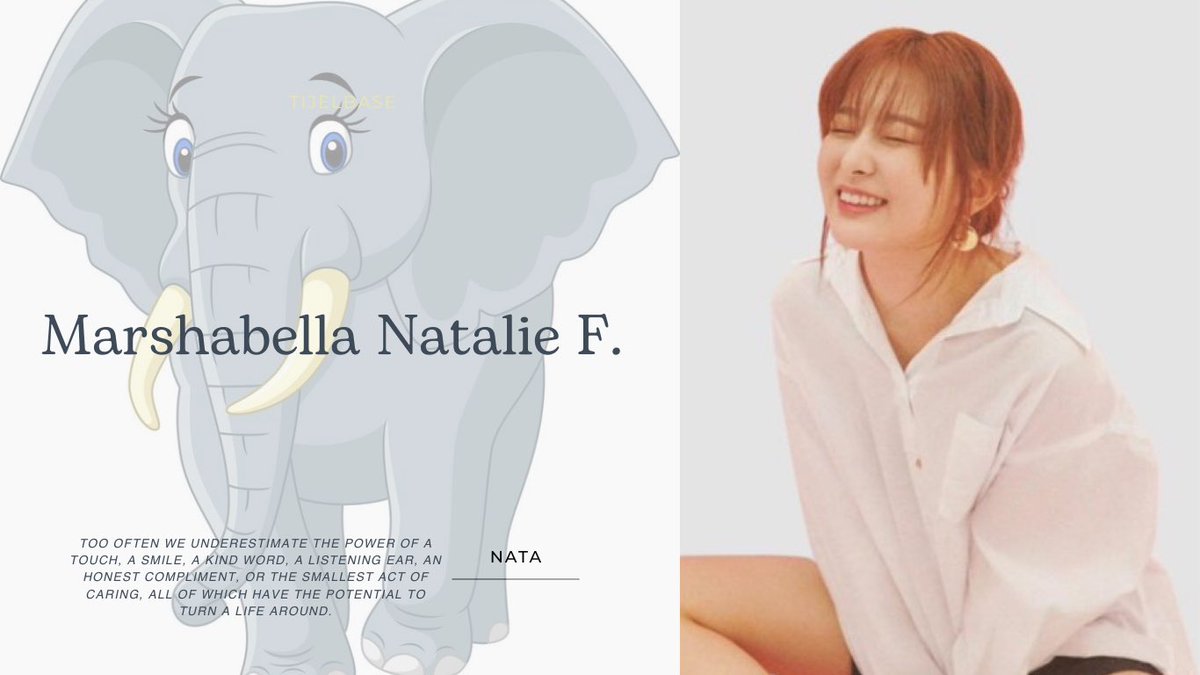 TIJEL🐘 Hiatus. tweet media