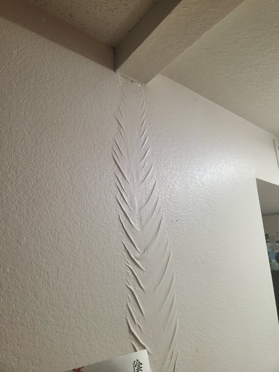 XlGodzilla's tweet photo. @elonmusk  can I get some help with unexpected higher closing cost. I can post evidence it's going to the right spot. I'm basically desperate at this point. 
My current apartment has me with this water damage for 18 days straight. 
https://t.co/CEZW77TZuT https://t.co/iKpkNiWfvb