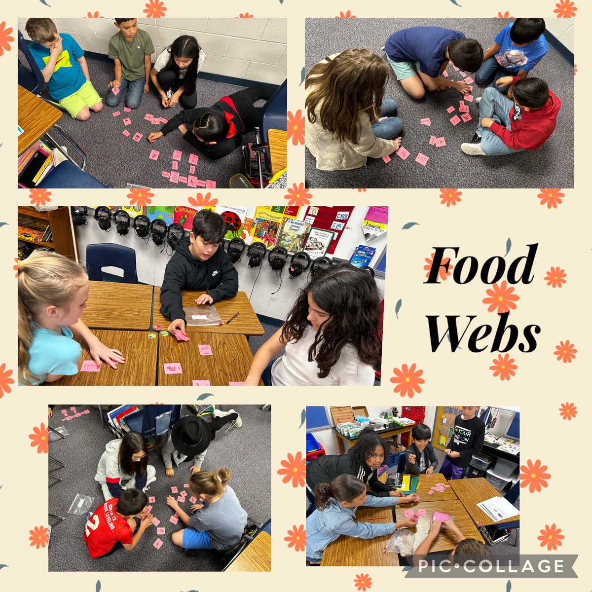 MedinaKaty2's tweet image. #Foodweb #workgroup #scienceisfun #forthefuture @Westside_AISD @AngletonISD