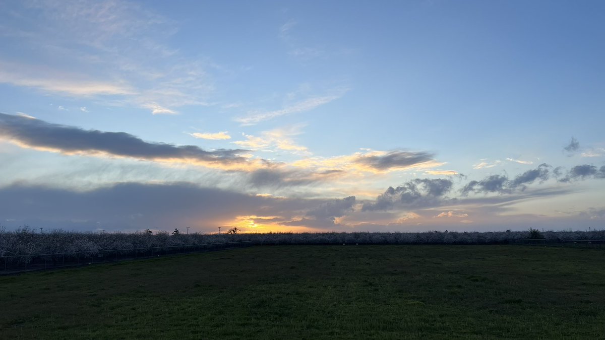 SirWiseSam's tweet photo. So I was driving while taking the retweeted photo, I loved the dimension in the clouds. Thank FSD Kept me safe while I quickly tried to glimpse the shot. 

Here are a few more photos but 2 miles future down the road, stationary, on my old Gas Guzzler lawn ornaments https://t.co/OL6ePWw800