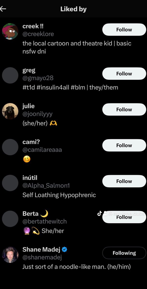 artsyannalee's tweet photo. @shanemadej and Drew Lynch liking two of my posts in the same day has was not on my 2023 bingo https://t.co/Dqe9c7FWWx