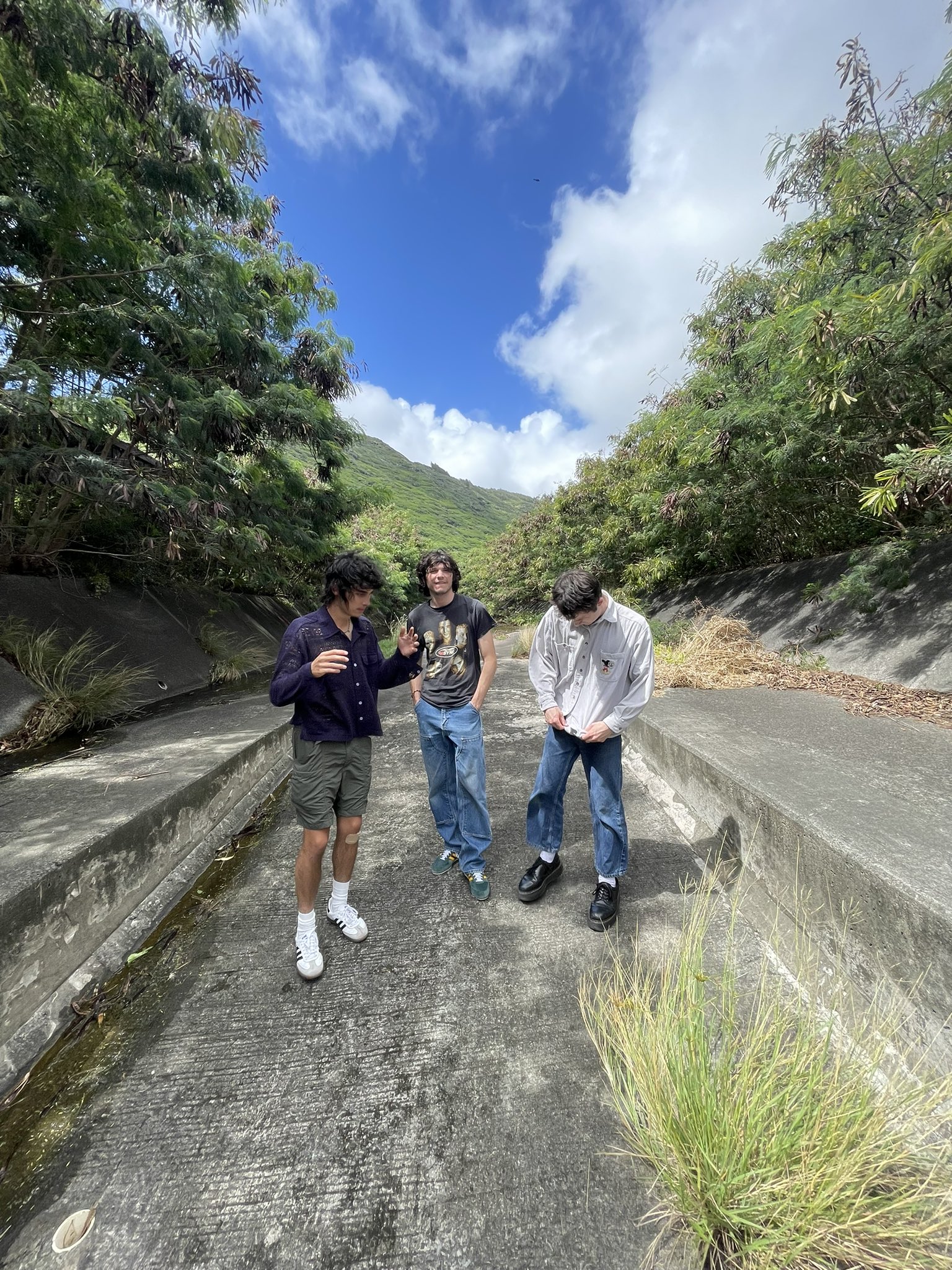 Wallows (@wallowsmusic) / Twitter