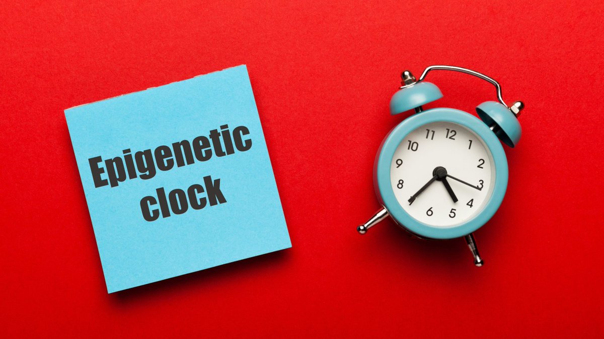 1/4 Your biological age and chronological age are not the same. 

Learn how to slow down your biological aging process with our latest blog post. 

buff.ly/3EEvXIw 

#biologicalage #chronologicalage #healthyaging