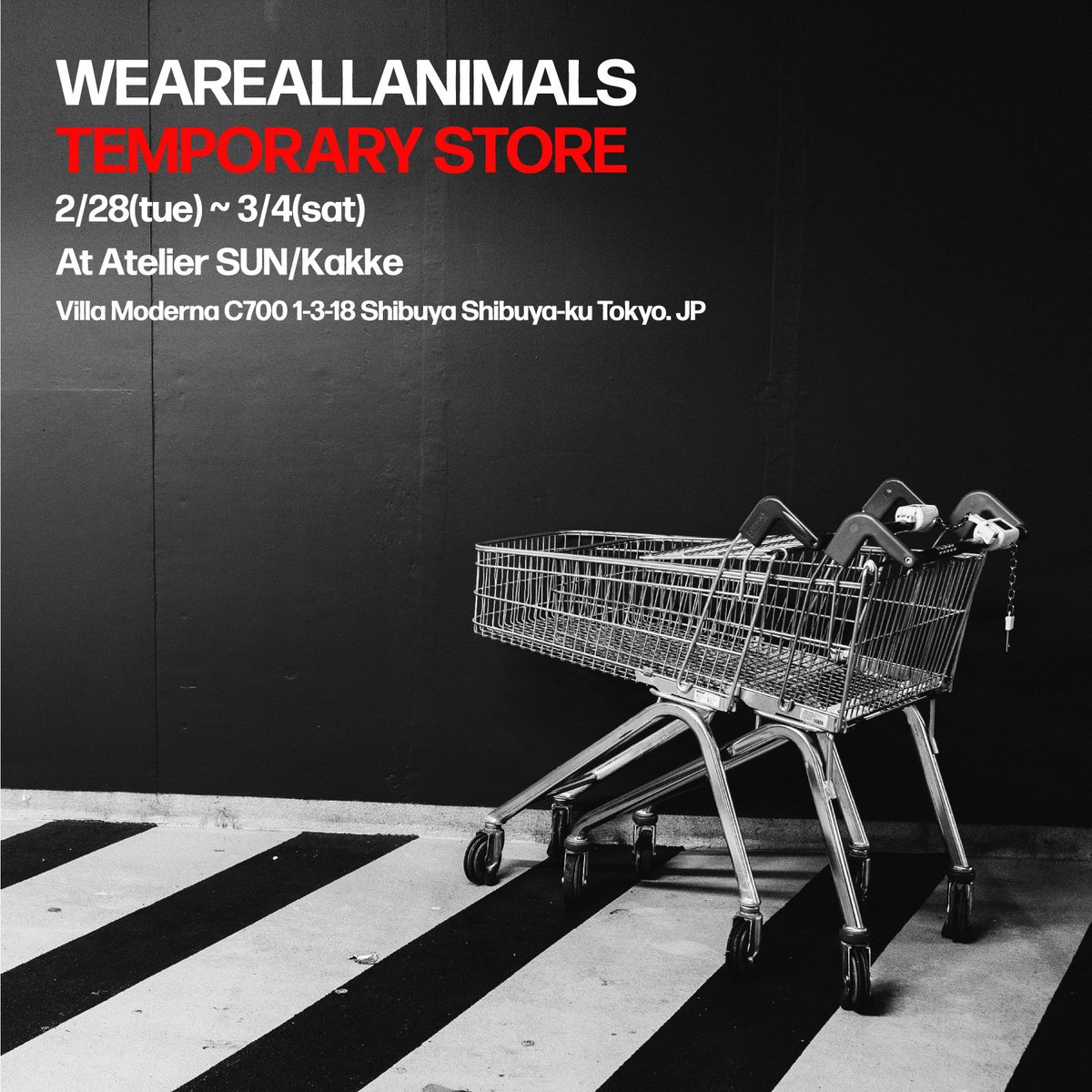 WAAA_official's tweet photo. 【WEAREALLANIMALS TEMPORARY STORE 】
期間：2023年2月28日(火)~3月4日(土)
時間：12:00~19:00
場所：Atelier SUN/Kakke
住所：東京都渋谷区渋谷1-3-18 ビラモデルナC700号室 https://t.co/HF6s71f7Fo
