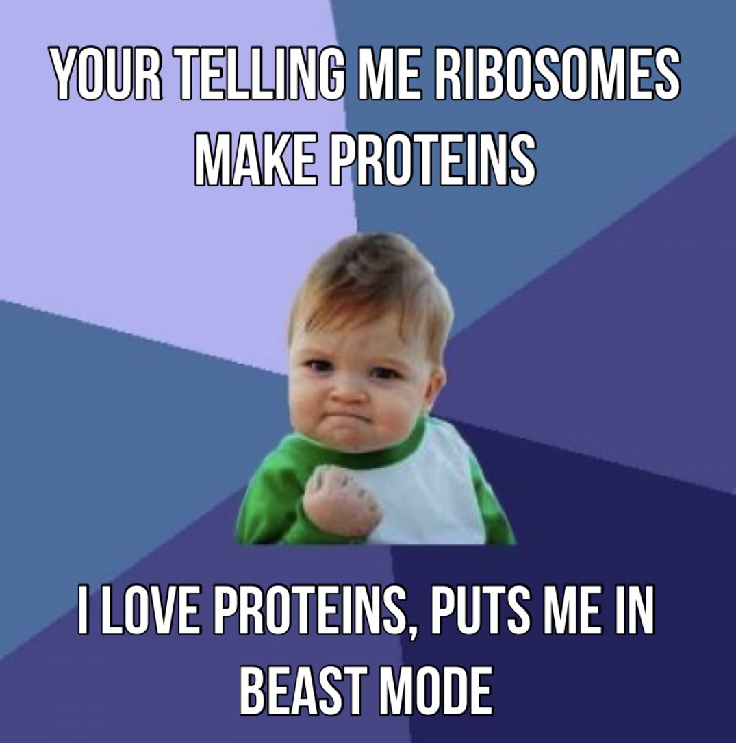 Hello, we are Ribosomes. Originally discovered in 1974, by Albert Claude, Christian de Duve, and George Emil Palade, we are the location of protein synthesis. So Got Protein? not without ribosomes.