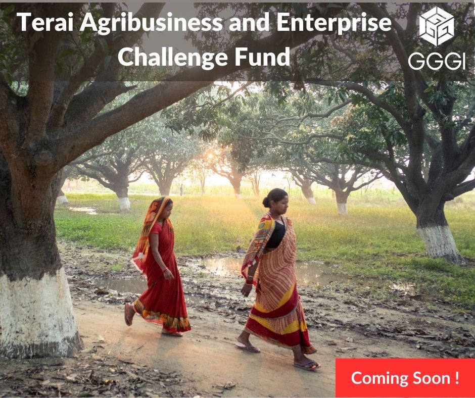 gggi_nepal's tweet photo. Big news for Nepal! GGGI Nepal is soon opening an application call for its Terai Agribusiness &amp; Enterprise Challenge Fund, part of the KOICA-GGGI CSA project. Don't miss it! #Nepal #Agribusiness #KOICA #CSAproject https://t.co/8xGadOKChB