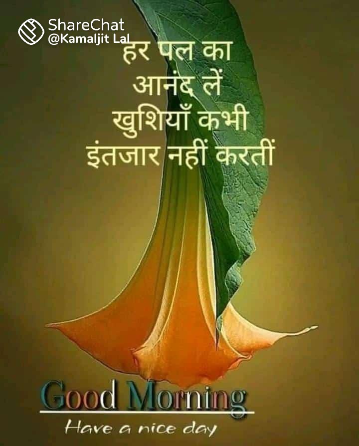 @DS__Rajput @VikasMohanProAc @arifmunnaRaza2 @Contrarian_View @IShubhamBJP @kokityagi @Mahanaatma1 @sandeep28061 @sandeepfromvns @Sarlass1008 @SaundiD @saurabh_nand @saxenask352 @shadowcabin @SharerUssharing @sharmankv @ShivamButter @SimaMandal15 @Sjp1007 @Sunilkumar7723 @Saffron0013 @singhmanoj2060 @SanjayG_BJP @srinu04 परम कृपालु सर्वोत्तम नहीं बल्कि अद्वितीय हैं ।