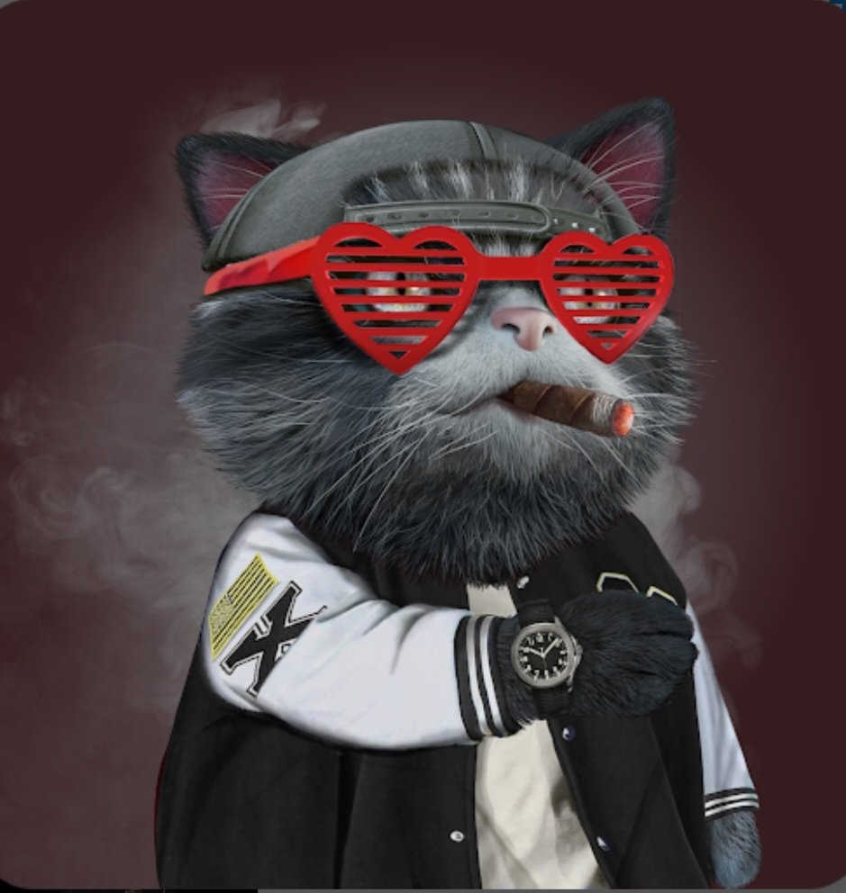 Julie25183's tweet photo. @Chronolyio @shilllin @ChronoCatzNFT Here we goooo... @Chronolyio @ChronoCatzNFT https://t.co/HuXej2zF2z