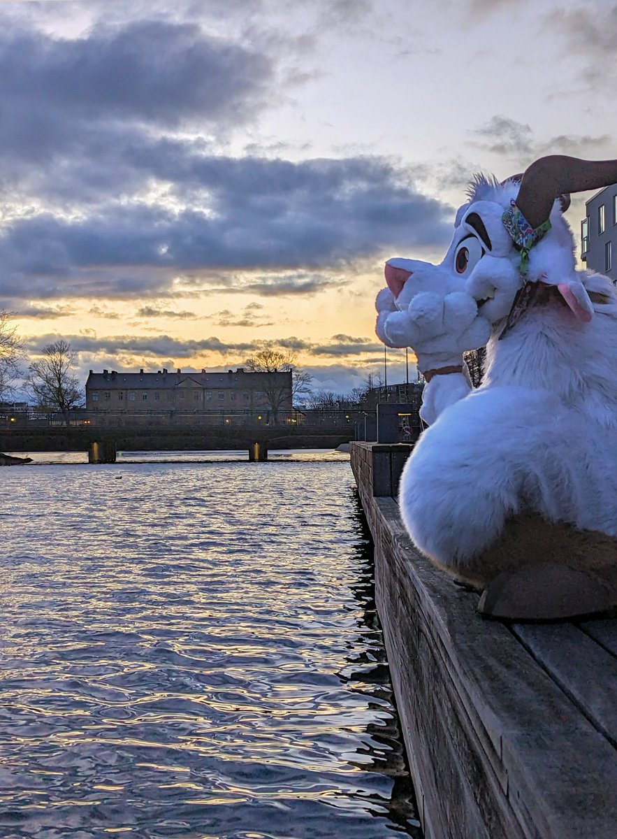 Reminiscing about the amazing #NordicFuzzCon last week...

Suiter: <a href="/ZottelGoatdemon/">Zottel @zottelgoatdemon.bsky.social</a> 
Maker: <a href="/MoreFurLess/">More Fur Less</a> 
Photo: 👋