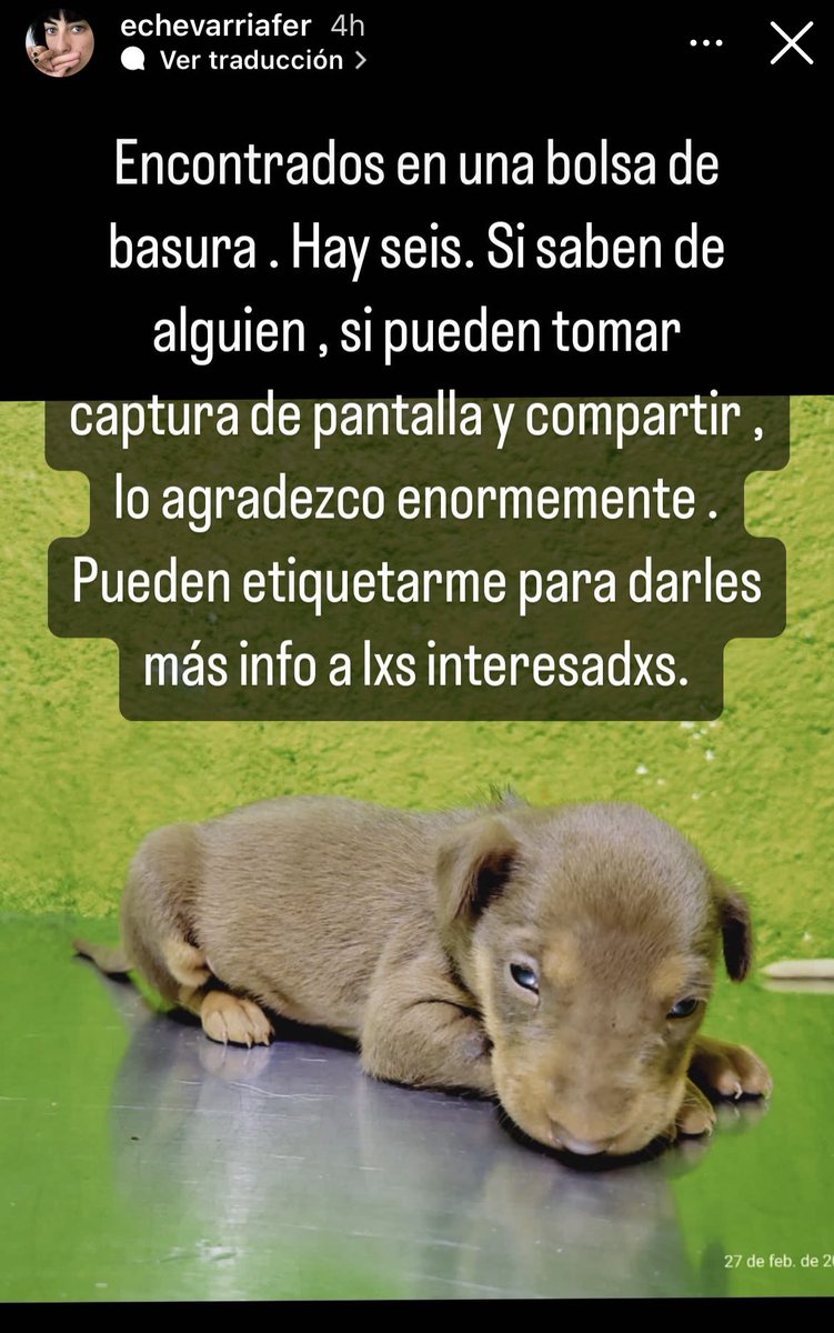 Fernando Bonilla tweet media