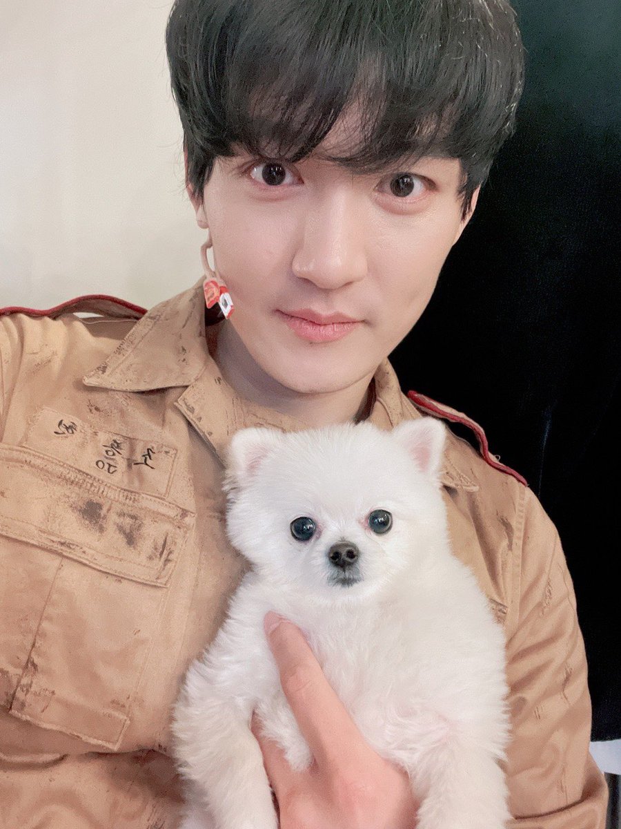 여신님이 보고계셔  나는 끝!!!!
아쉽지만 지방공연이 있으니...
남은 2일 응원하러 가야지!!!
하찌는 유동이 강아지!!!
다행스럽게 하찌는 착함.