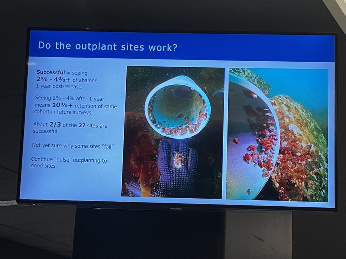 Kia Ora from Aoteroa New Zealand at the 2023 International Abalone Society meeting.  An amazing few days interacting with leading thinkers in abalone production and conservation from around the world, with a central focus on indigenous knowledge and management!  More to come..