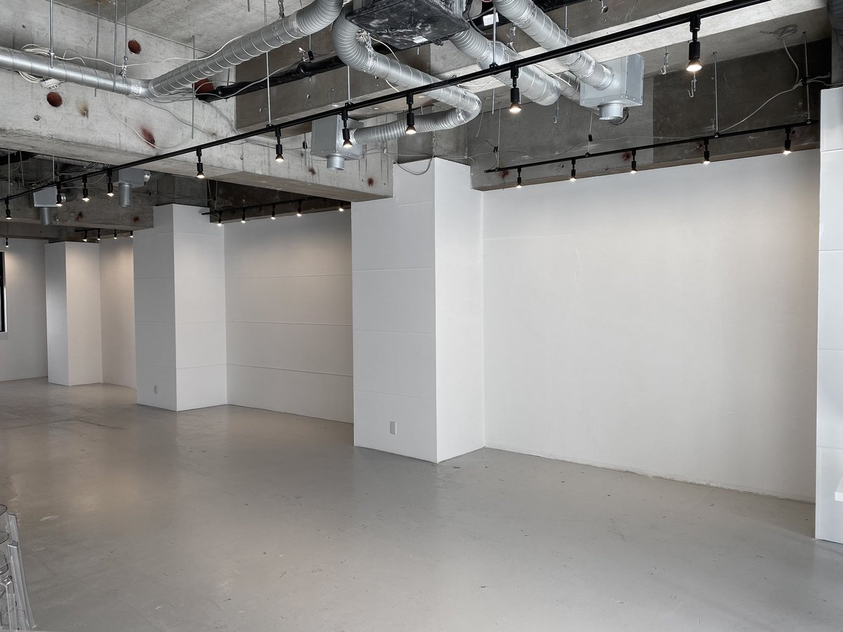 ozgallerystudio's tweet photo. 表参道AQspace。内装出来上がりました！
青山通りの木漏れ日が差し込んで抜群の透明感。
午前9:30-13:00位までかなり明るいです。
広さ130㎡超え、天井高3.2mほどあり、かなりポテンシャルの高いギャラリーです！
https://t.co/lB7HOlWQh4 https://t.co/s32Nq5DQnj