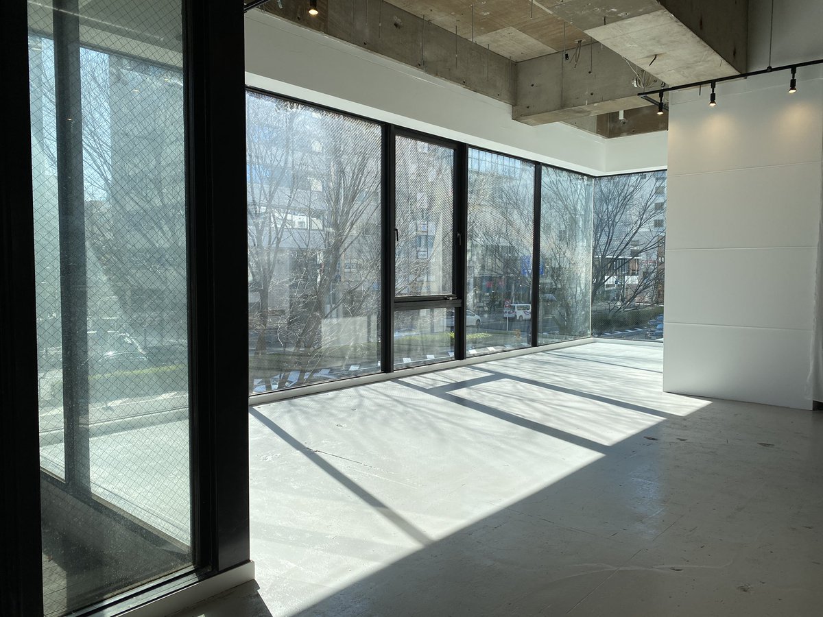 ozgallerystudio's tweet photo. 表参道AQspace。内装出来上がりました！
青山通りの木漏れ日が差し込んで抜群の透明感。
午前9:30-13:00位までかなり明るいです。
広さ130㎡超え、天井高3.2mほどあり、かなりポテンシャルの高いギャラリーです！
https://t.co/lB7HOlWQh4 https://t.co/s32Nq5DQnj