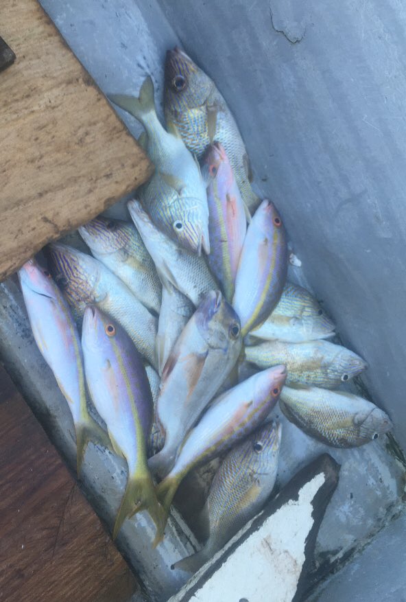 It’s a good feeling when you pay a local to take you fishing, you catch lots of fish, take two for dinner, pay to have a local cook them up and give the rest to the community